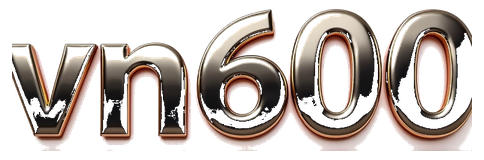 vn600 logo